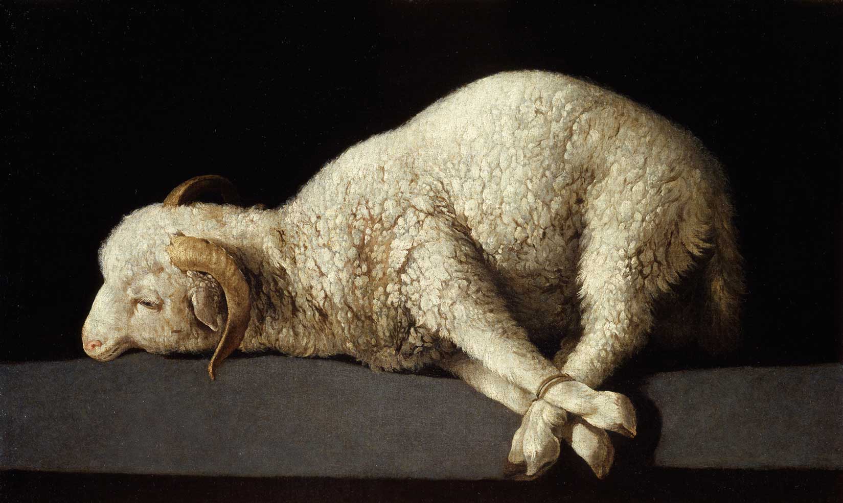 Day-002-lamb.jpg